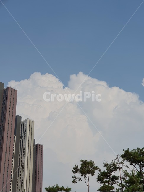 building,건물,구름,officebuilding,날씨,옥외,outdoors,nature,자연,사무실건물