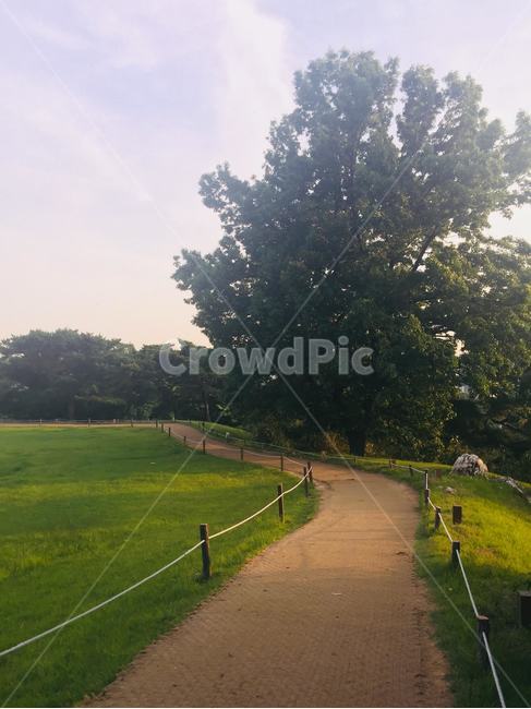 올림픽공원,산책로,공원,큰나무,풀밭,산책,자연,풍경,nature,landscape,plant,식물,grass,잔디