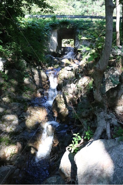 산,나무,초록,자연,하늘,구름,흰색,식물,햇빛,여름,mountain,yama,tree,ki,green,midori,nature,sky,sora,cloud,kumo,white,shiro,plants,shokubutsu,sunlight,hizashi,summer,natsu,계곡,물,valley,keikoku,water,mizu,돌,바위,stone,rock,ishi,iwa,여름,계절,summer,season,자연,풍경,nature,landscape,outdoors,옥외