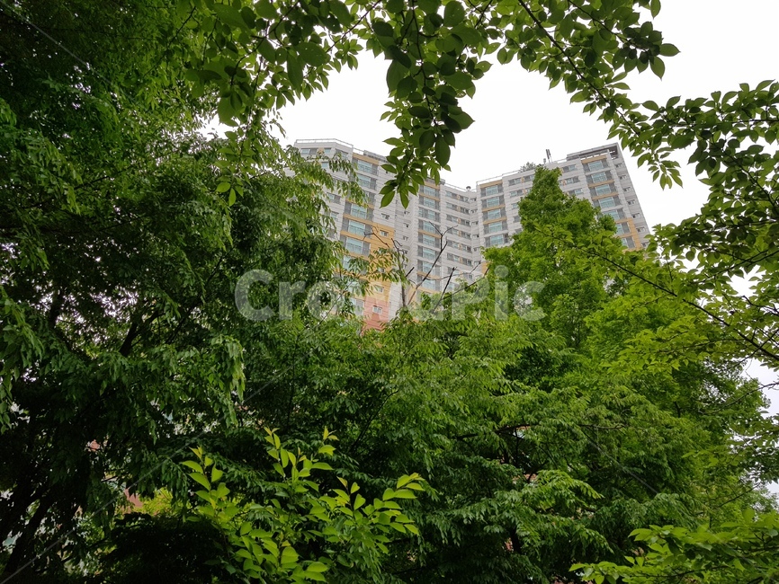 서울아파트,한국아파트,도시풍경,서울주택,서울집,seoulapartment,koreanhouse,cityhouse,koreaancity