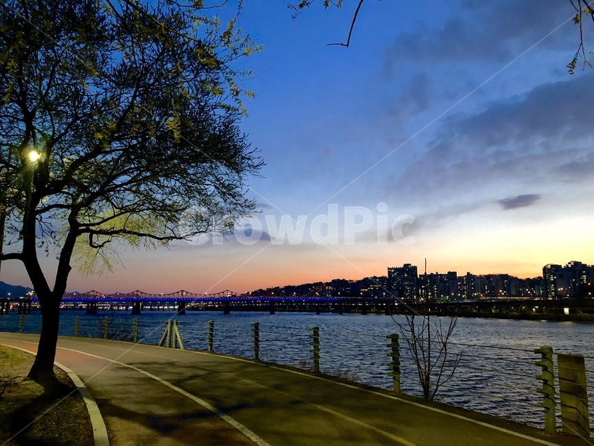 노을,일몰,한강,도로,나무,자전거도로,물,하늘,봄,계절,spring,season,도시,풍경,city,landscape,water