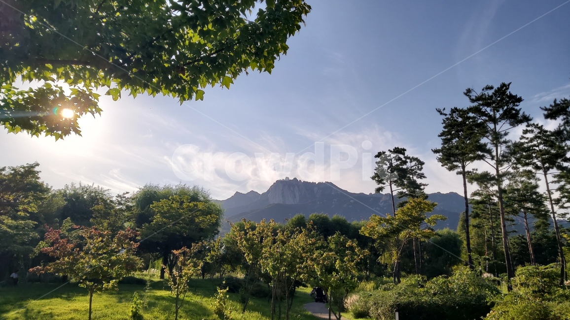 서울창포원,도봉산,산,나무,하늘,구름,자연,changpowon,dobongsan,mountain,trees,sky,clouds,nature,자연,풍경,nature,landscape,나무,trees,wood,outdoors,옥외