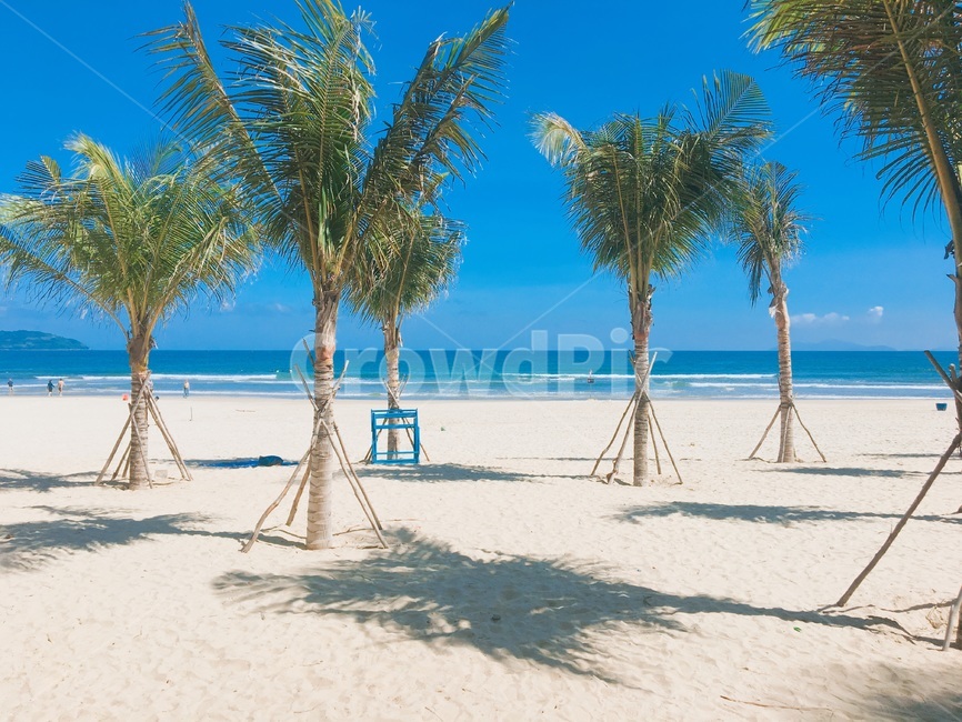 나무,바다,해변,하늘,beach,summer