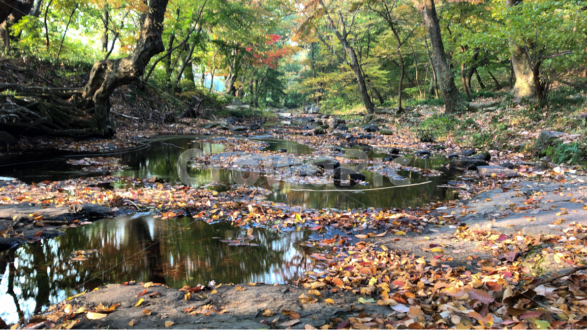가을,단풍,낙옆,나무,물,계곡,아름다움,배경,자연,풍경,nature,landscape,한국자연풍경,한국자연경관,korea nature landscape,water,land,땅,outdoors,옥외