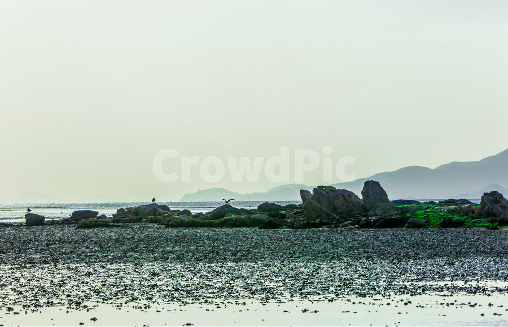 영종도,철새,낙조,풍경,환경,갯벌,석양,바닷가,자연,풍경,nature,landscape,한국자연풍경,한국자연경관,korea nature landscape,해변,바다,beach,sea,land,땅,outdoors,옥외,water,물,building,건물,architecture,건축물,ocean,대양,shoreline,해안선
