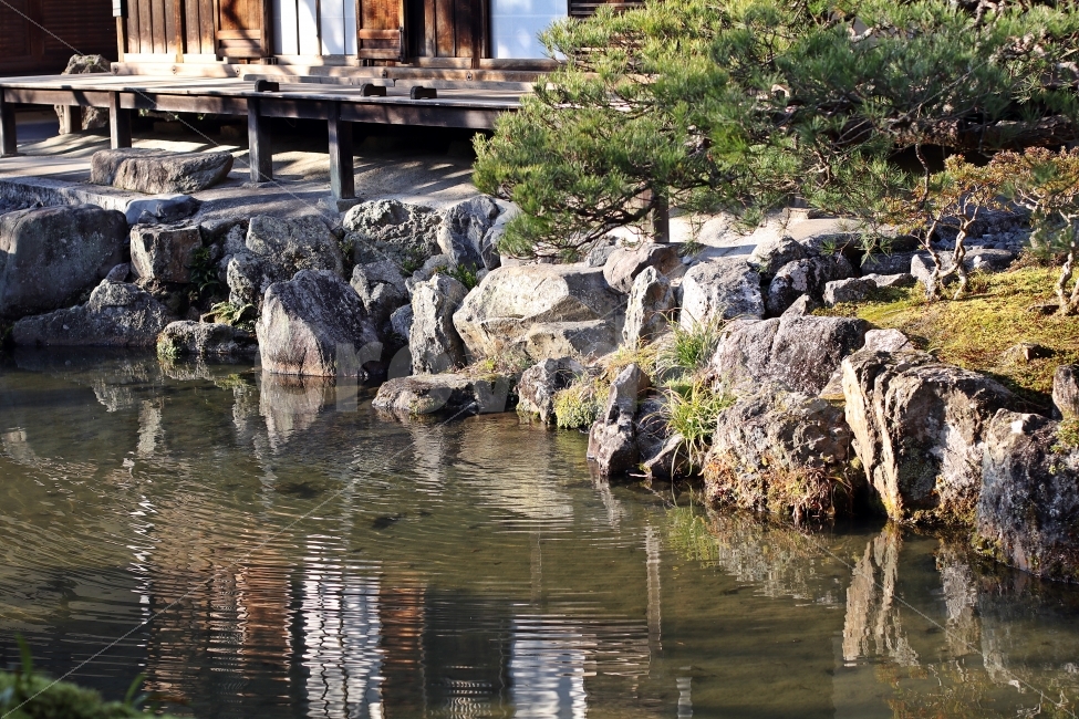 정원,관리,깨끗한,여행,동양의,가을,고즈넉한,풍경,일본,교토,자연,풍경,nature,landscape,해외,외국,세계,foreign,oversea,world