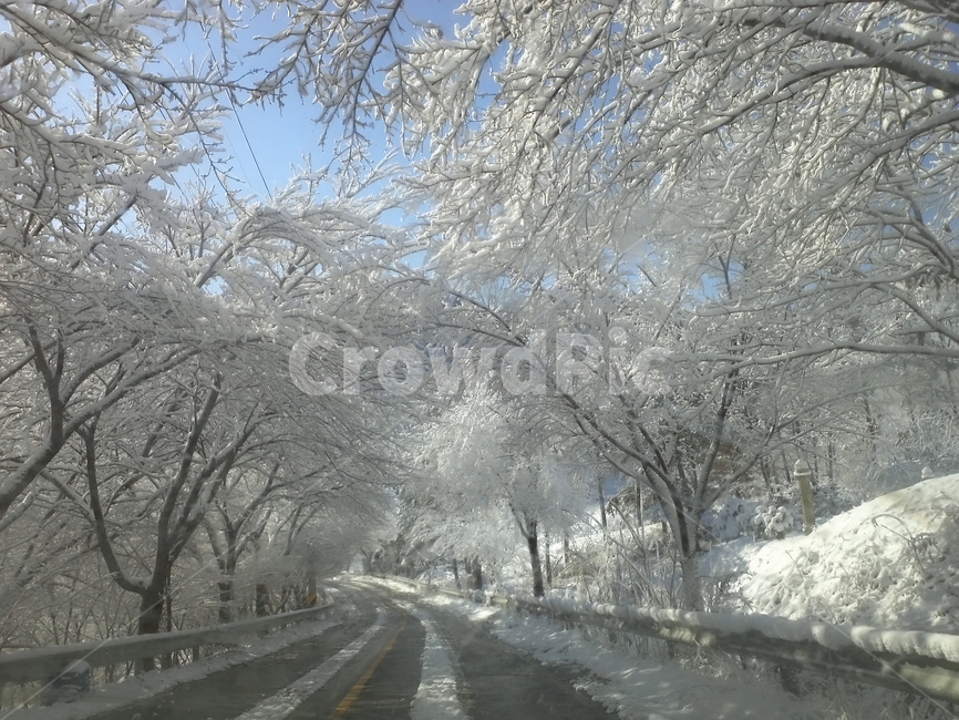 nature,자연,outdoors,snow,눈,겨울,계절,winter,season
