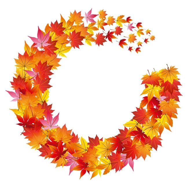 가을,단풍잎,그래픽,일러스트레이션,나뭇잎,illustration,graphic,fall,autumn,season,background,디자인소스,계절,둥근,원형,leaves,maple,10월,11월,배경,바탕,백그라운드,배너,표지디자인,이벤트,포스터,리플렛,카다로그,colorful,칼라풀,노랑,빨강,red,yellow,pink,핑크색,분홍색,잎새,낙엽,가을분위기,가을감성,가을그래픽,가을,계절,fall,autumn,season,그래픽,일러스트레이션,graphic,illustration,leaf,잎,plant,식물