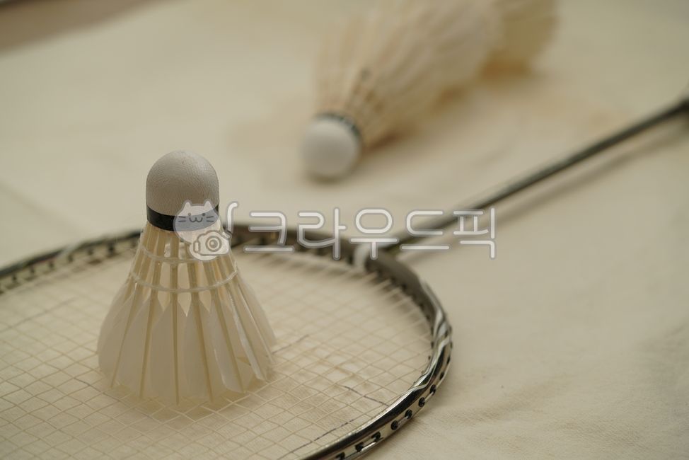 셔틀콕,운동,배드민턴,깃털,스포츠,취미,흰색,도구,badminton