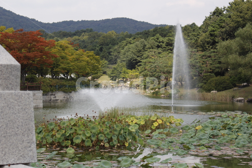 water,물,분수,연못,정원,자연,풍경,nature,landscape
