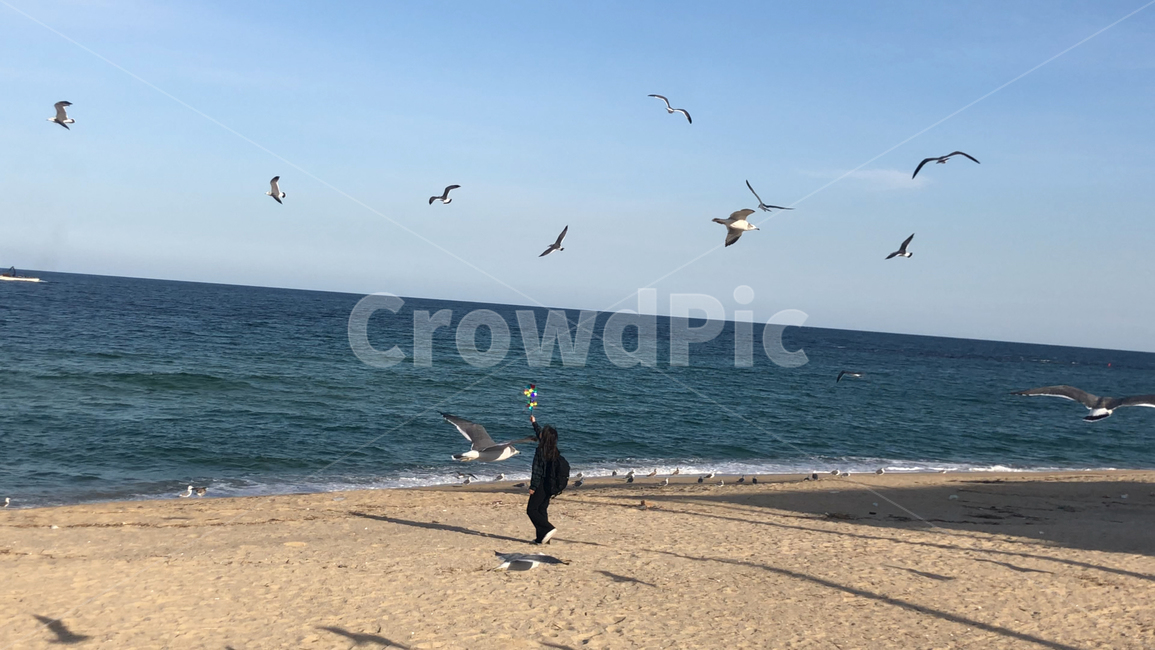 바다,여자,뒷모습,갈매기,강릉,여행,배낭여행,휴가,하늘,파랑,파란색,겨울바다,그림자,사람,인물,국내여행,beach,ocean,blue,woman,person,female,trip