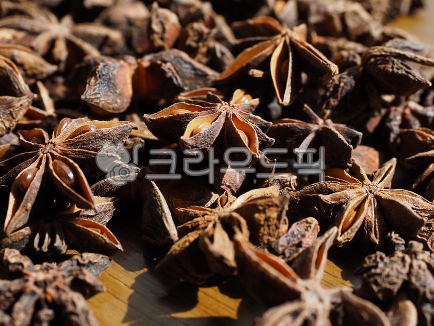 스타아니스홀,향신료,팔각,팔각향,별모양,아니스,인도음식,향기,음식,유기농,요리,요리재료,갈색,중국음식,아시아음식,건조식품,식물,향료,staranisehall,spice,octagon,octagonal,starshape,anise,indianfood,scent,food,organic,cooking,cookingingredients,brown,chinesefood,asianfood,dryfood,plant,spices