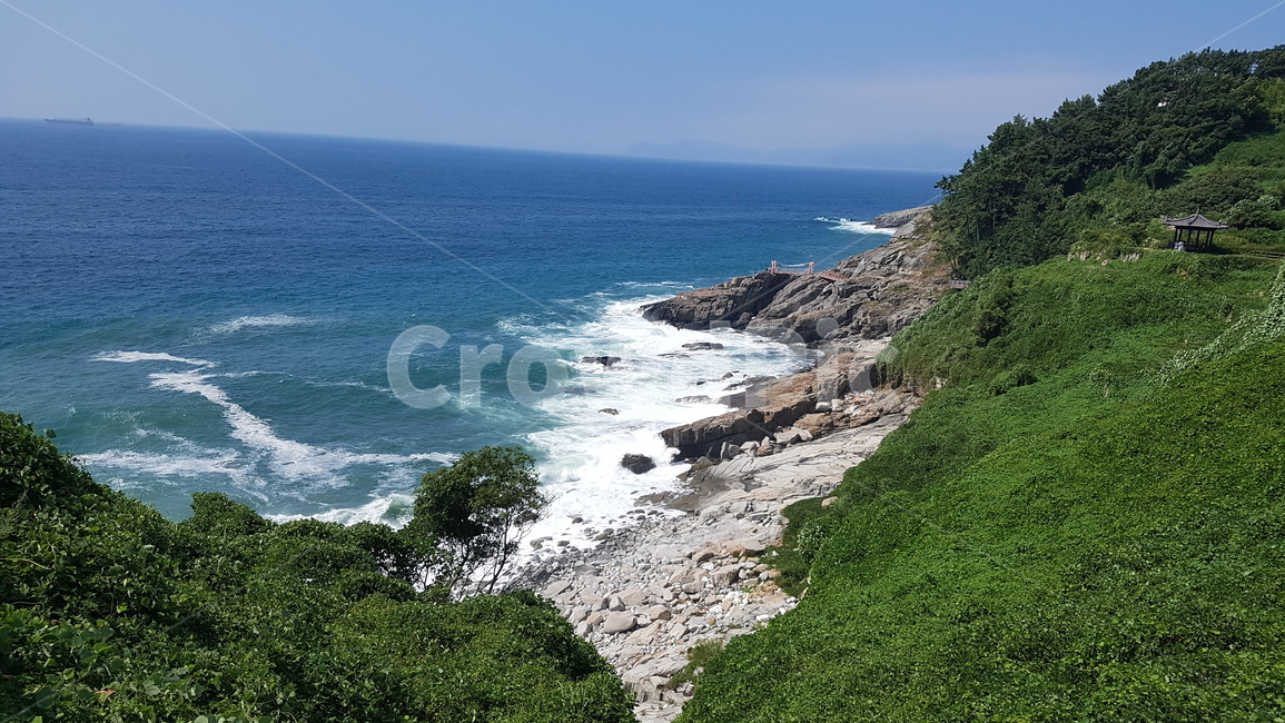 남해,다랭이마을,다랑이마을,남해다랑이마을,남해다랭이마을,계단식논,여름,초록,풍경,계절,자연,식물,여름분위기,여름풍경,논,벼,여름논,여름벼,여름산,바다마을,바다옆마을,바다논,바다농사,해안절벽,절벽,해안절벽풍경,해안풍경,자연풍경,시원한,푸르른,푸른,파도,해안파도,자연,풍경,nature,landscape,promontory,곶