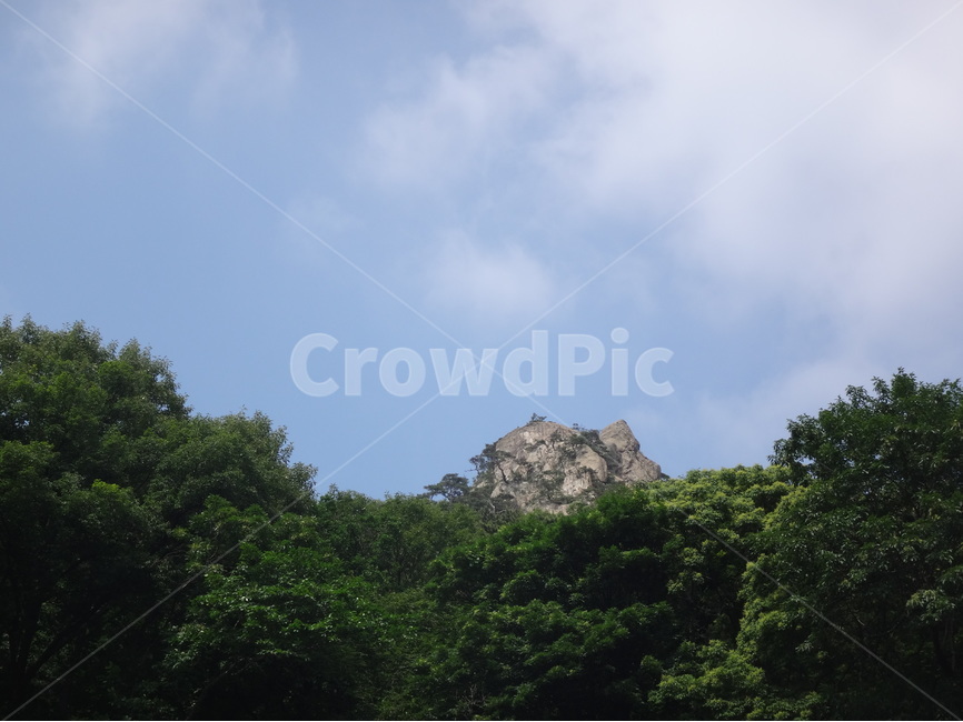 정상,꼭대기,산속,등산,풍경,하늘,나무,자연,풍경,nature,landscape,outdoors,옥외