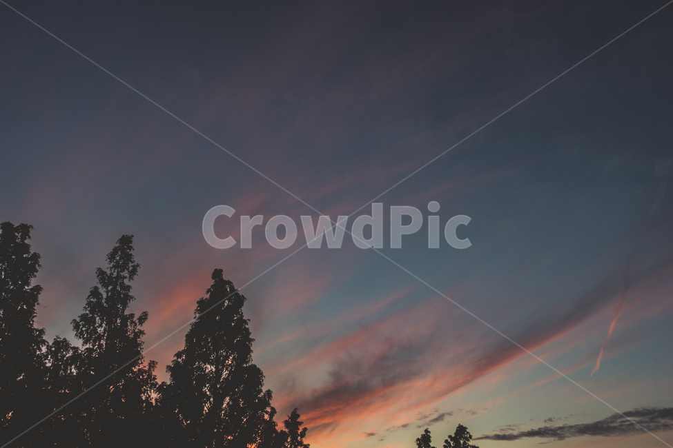 노을,하늘,나무,감성,구름,밤하늘,저녁,매직아워,여유,역광,sky,cloud,sunset,sundown,backlight,evening,wood,tree,beautiful,rest,저녁하늘,자연,풍경,nature,landscape,야경,밤,nightscape,night,감성,sensible,feeling,outdoors,옥외,plant,식물,dawn,새벽,dusk,황혼,red sky,붉은 하늘,일몰