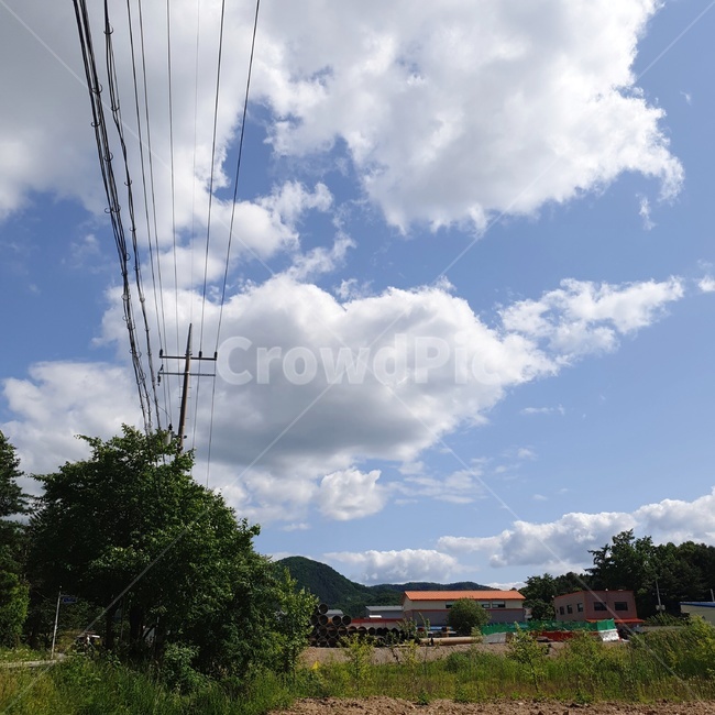 하늘,나무,sky,구름,tree,전기줄,cloud