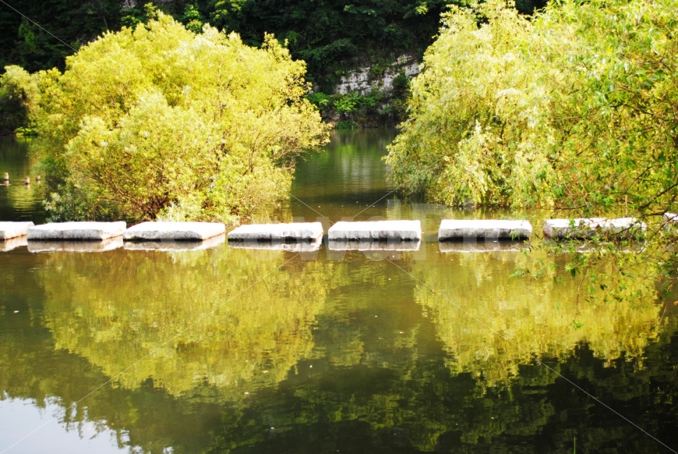 징검다리,돌,돌다리,나무,강,다리,식물,bridge,stone,tree,nature,자연,river,plants,자연,풍경,nature,landscape,water,물,outdoors,옥외