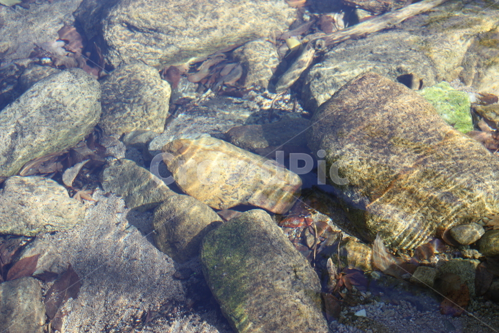 river,돌,물,water,자연