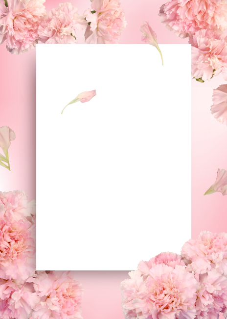 식물,백그라운드,배경이미지,봄,여름,꽃,잎,잎사귀,꽃잎,배경,자연,내추럴,프레임,꽃배경,background,frame,카네이션,분홍,핑크,flower,flora,nature,그래픽,일러스트레이션,graphic,illustration