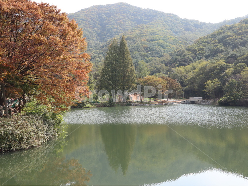 공주시,불장골저수지,가을,자연,nature,water,물,outdoors,옥외,단풍