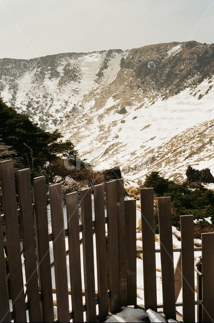 제주도,한라산,겨울,눈,필름카메라,필카,산,등산,등반,등정,울타리,자연,겨울,계절,winter,season,자연,풍경,nature,landscape