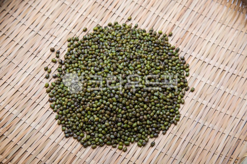 Bindaetteok,Grain,foodwind,health,pancake,multigrain,green gram,food,mungbean,plant,mung bean pancake,grain,healthfood