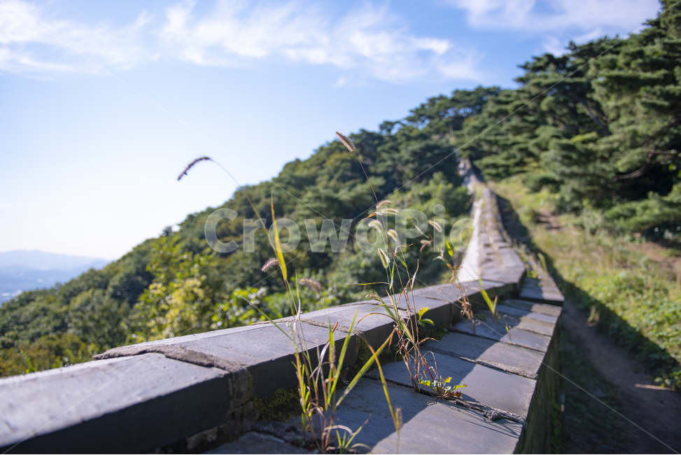 남한산성,성벽,성곽,고성,산성로,한국전통,한국문화,korean traditional,korean culture,식물,자연,plants,nature,건축물,건물외관,exterior,building,structure,architecture,construction
