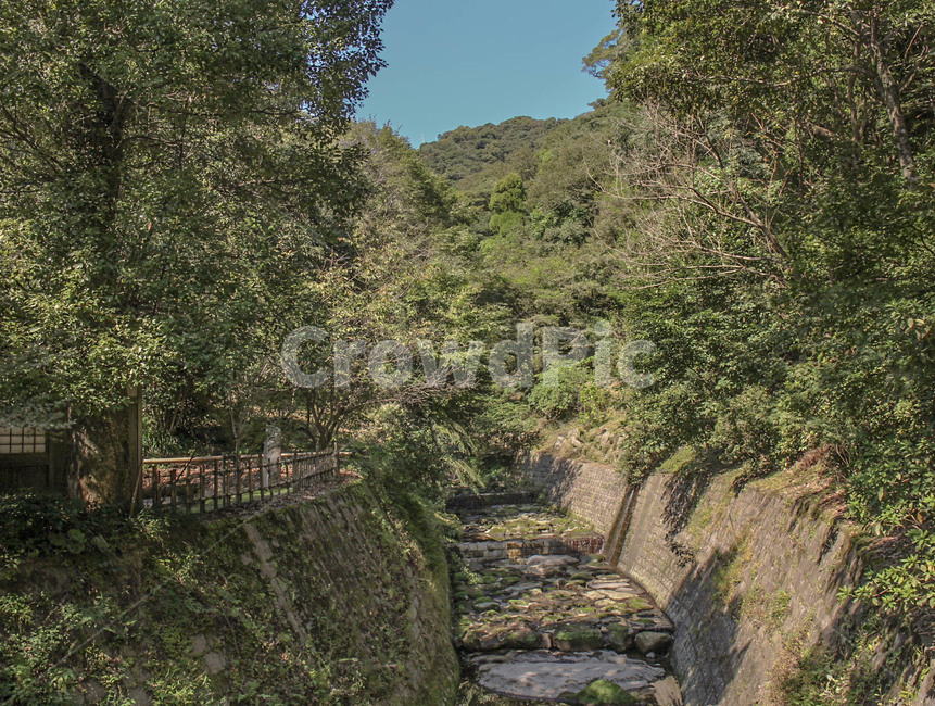 풍경,초록,나무,산,산책로