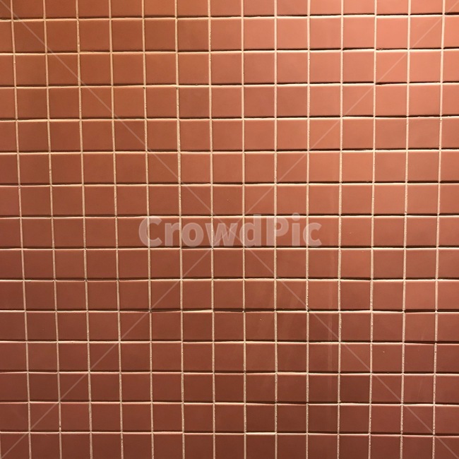 타일,분홍,벽,화장실,분홍타일,격자,화장실벽,벽면,tile,wall,pink,감성,텍스처,질감,패턴,texture,pattern