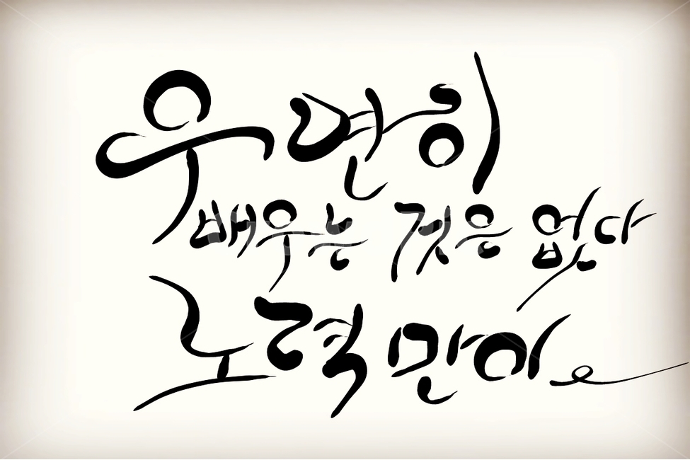 캘리그라피,손글씨,노력,배움,우연
