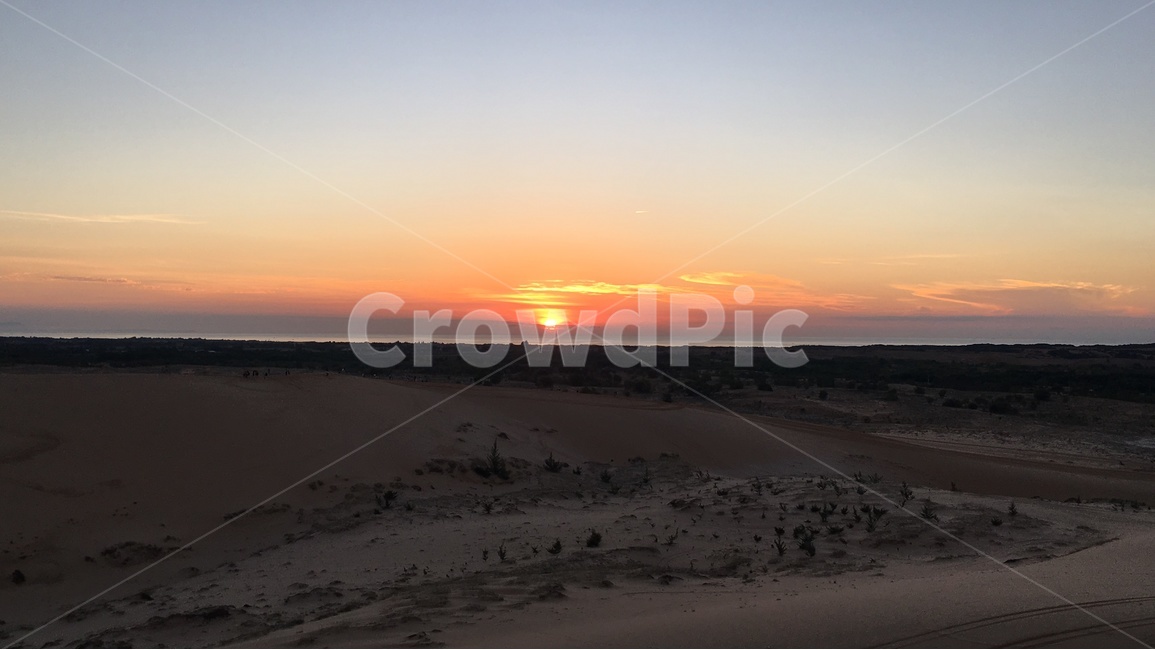 베트남,무이네,사막,화이트샌듄,모래사구,하늘,나무,흔적,sand,모래,고요한,적막한,세계자연풍경,해외자연풍경,모래언덕,자연,풍경,nature,landscape,해외,외국,세계,foreign,oversea,world,세계자연풍경,해외자연풍경,외국자연풍경,world nature landscape,soil,흙,outdoors,옥외
