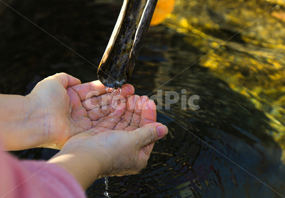 person,손,human,finger,손가락