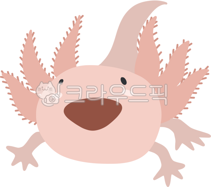 바다생물,물고기,우파루파,귀여운바다생물,우파루파캐릭터,분홍색물고기,귀여운,분홍색,꼬리