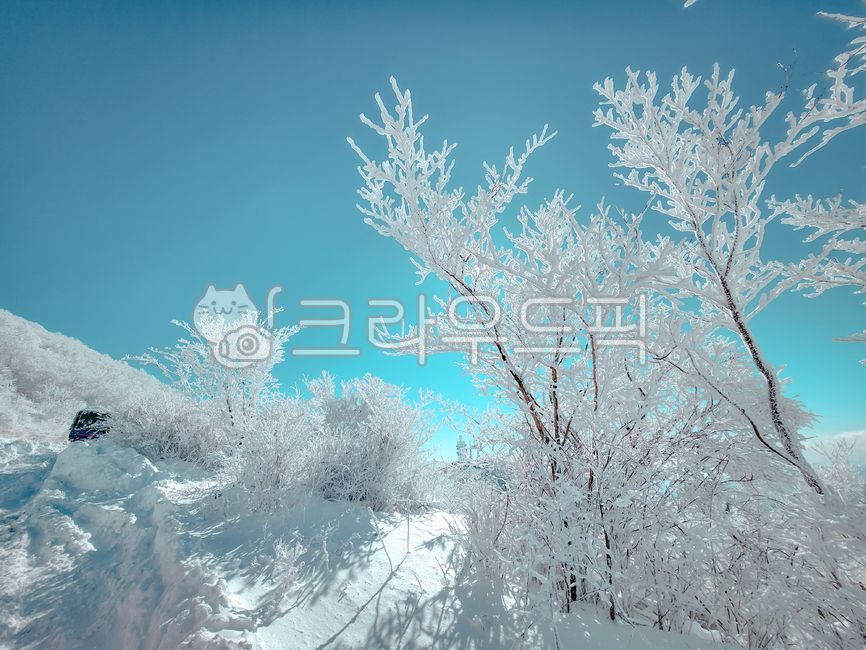 산, 겨울, 설산, 겨울산, 눈꽃, 사진,이미지,일러스트,캘리그라피 - MEDEIA작가