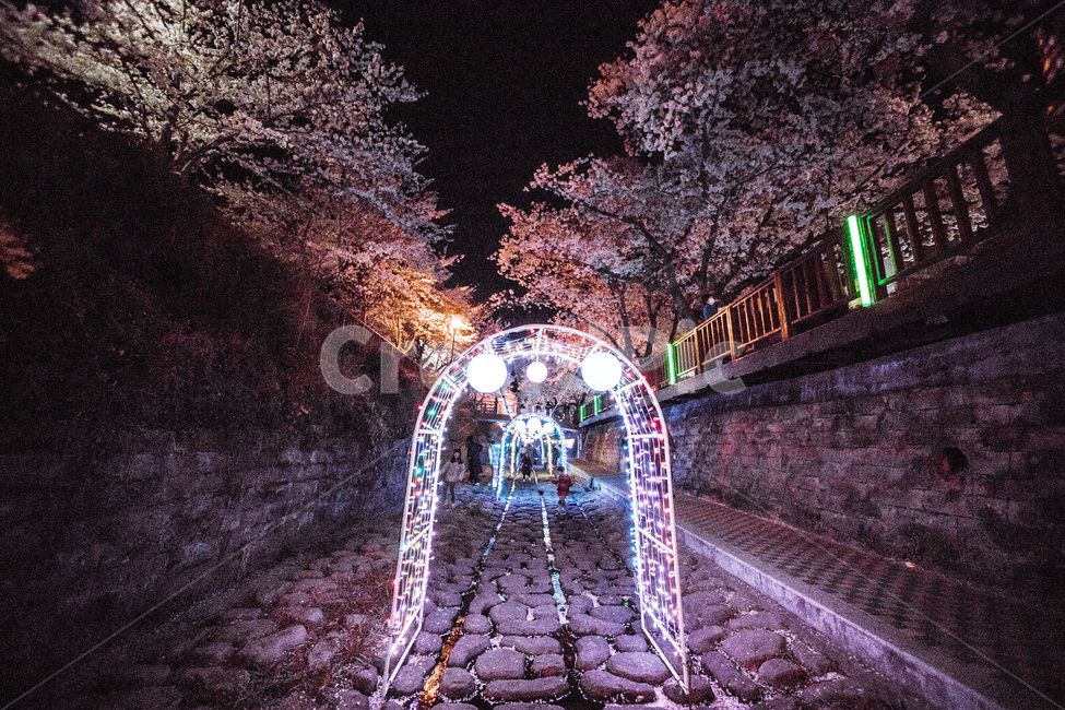 진해,여좌천,벚꽃축제,군항제,꽃,봄,봄,계절,spring,season,야경,밤,풍경,nightscape,night,landscape,축제,행사,festival,carnival,event