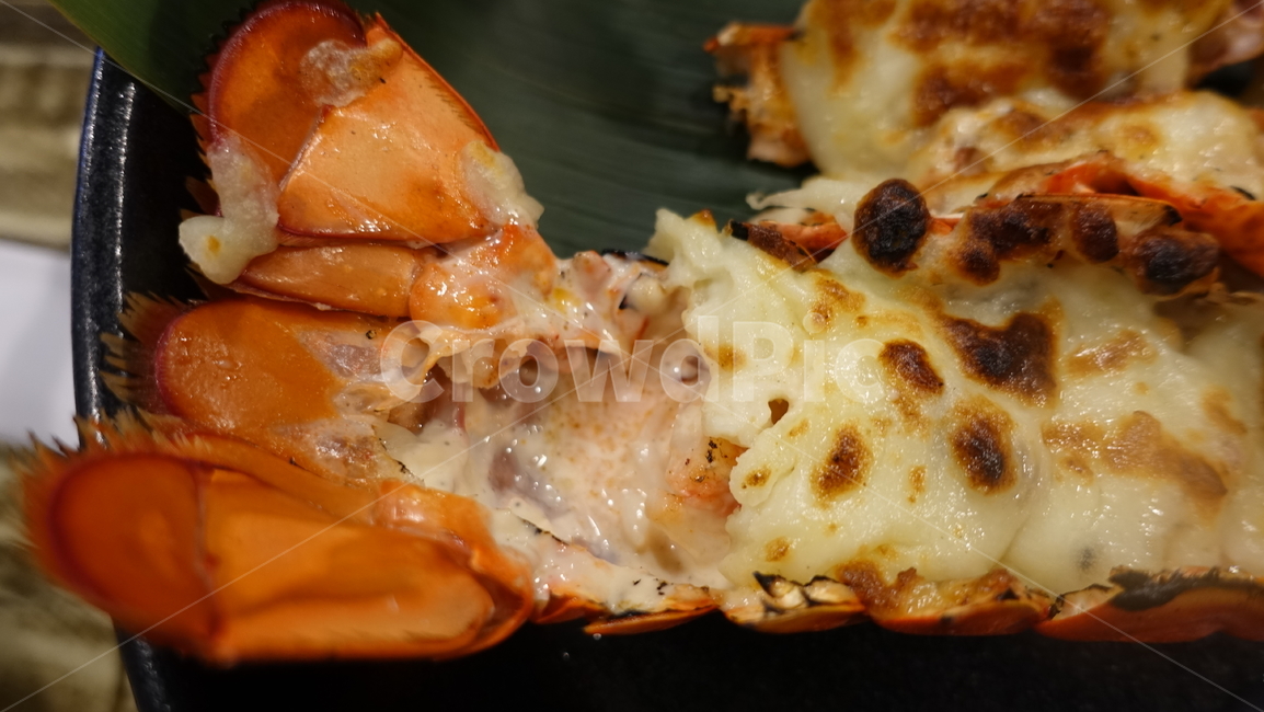 음식,dish,food,meal,lobster,랍스터,해산물,seafood