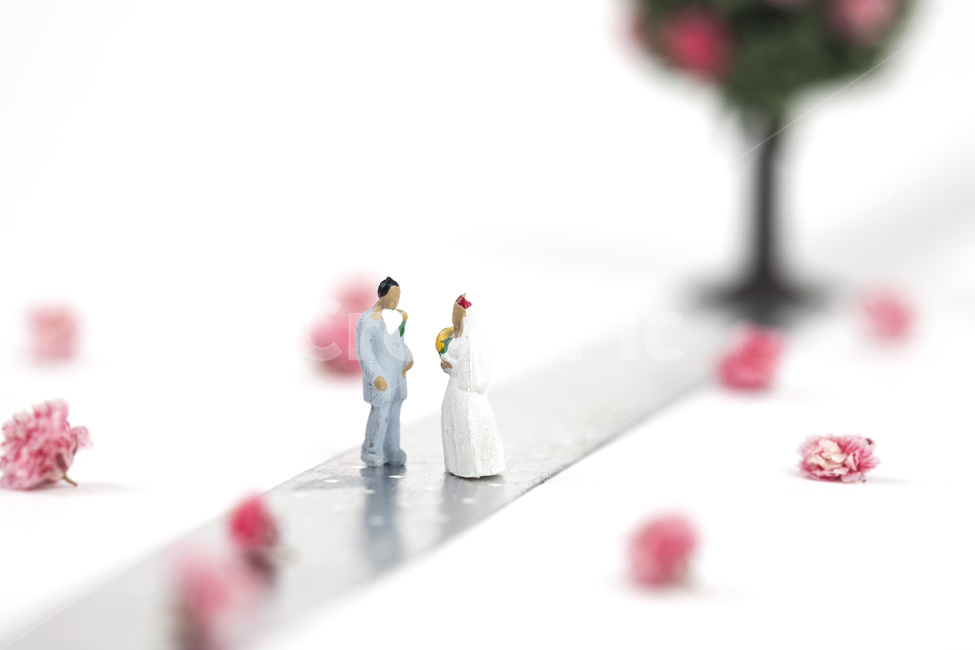 웨딩,커플,신랑,신부,꽃길,오브젝트,결혼,결혼식,나무,꽃나무,웨딩마치,은빛,흰색,배경,그린,녹색,희망,축복,실버,컨셉,미니어처,아이디어,분홍색,핑크,남녀,시작,브라이드,러브,사랑,웨딩드레스,예복,꽃,턱시도,플라워,셀프웨딩,스드메,마주보다,클로즈업,연인,커플,사랑,lover,couple,결혼,혼례,웨딩,wedding,marriage,marry,기념일,축하,anniversary,congratulation,celebrate,celebration,연출,컨셉,콘셉,direction,concept