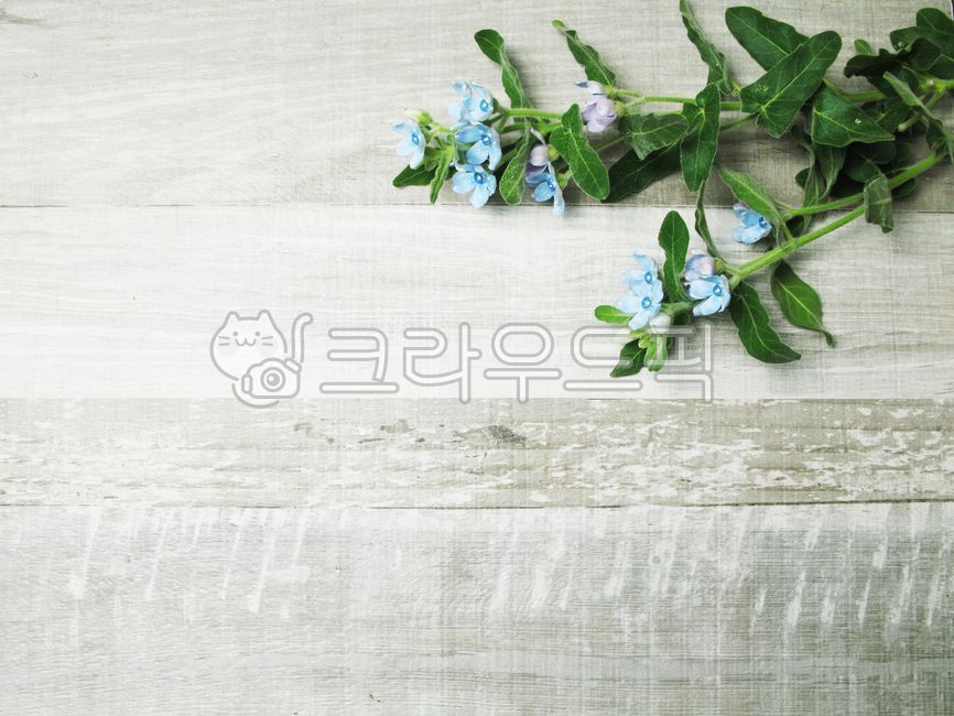 꽃장식,flower,꽃배경,리스장식,우드,작은꽃