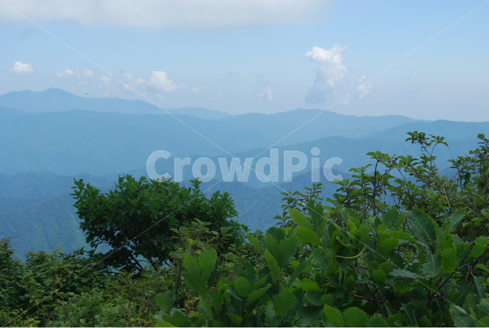 summer,hikingtrail,cloud,tree,하늘,자연,풍경,nature,landscape,outdoors,옥외,mountain,산,mountain range,산맥