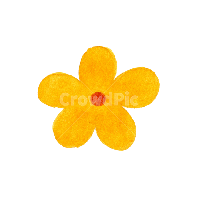 수채화,꽃,손그림,일러스트,봄,flower,귀여운,자연,아이콘,식물,예쁜,spring,summer,꽃잎,plant,blossom,watercolor,주황,orange,illustration,nature,icon,petal,꽃,flower,누끼,remove background