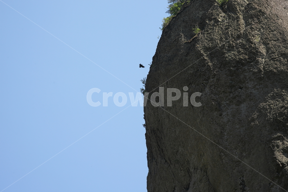 까마귀,바위,주왕산,rock,carrioncrow,청송