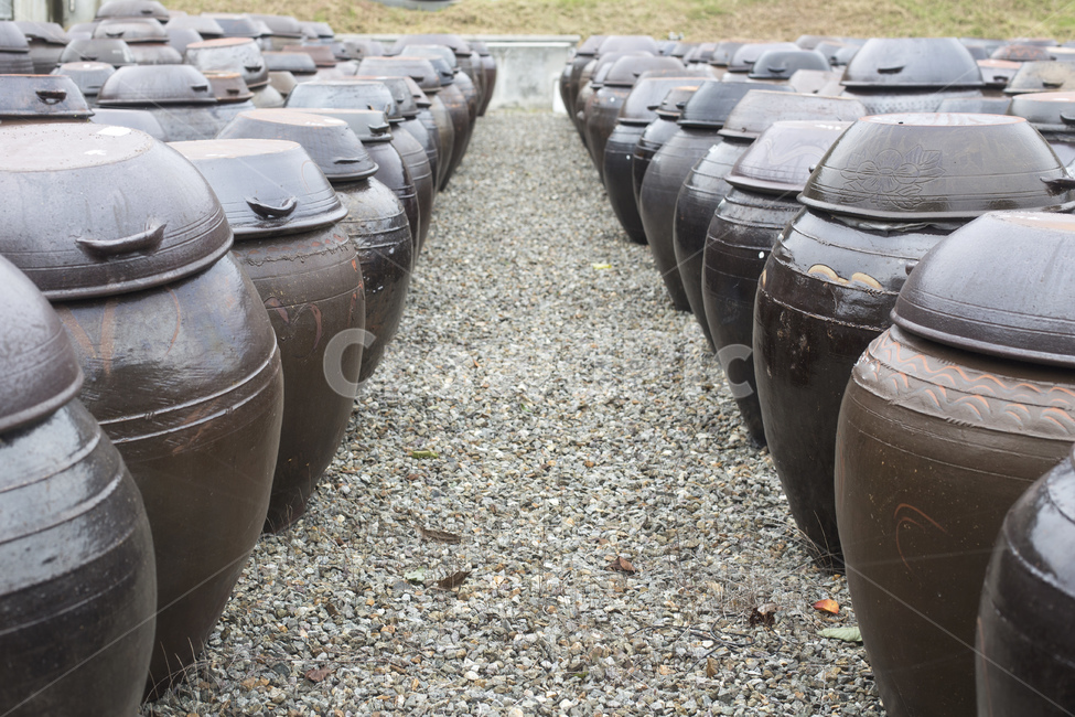 장독,장독대,항아리,간장,된장,한국전통,장,한국전통,한국문화,korean traditional,korean culture