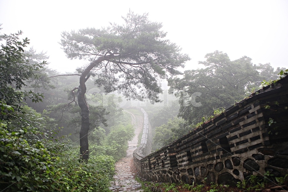 남한산성,성,성곽,길,둘레길,숲,숲길,안개,담,돌담,여름