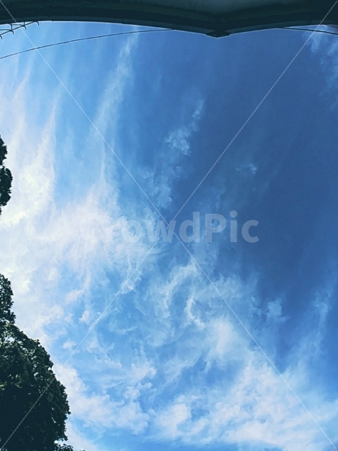 클라우드,구름,구름때,하늘,파란하늘,자연,풍경,nature,landscape,outdoors,옥외