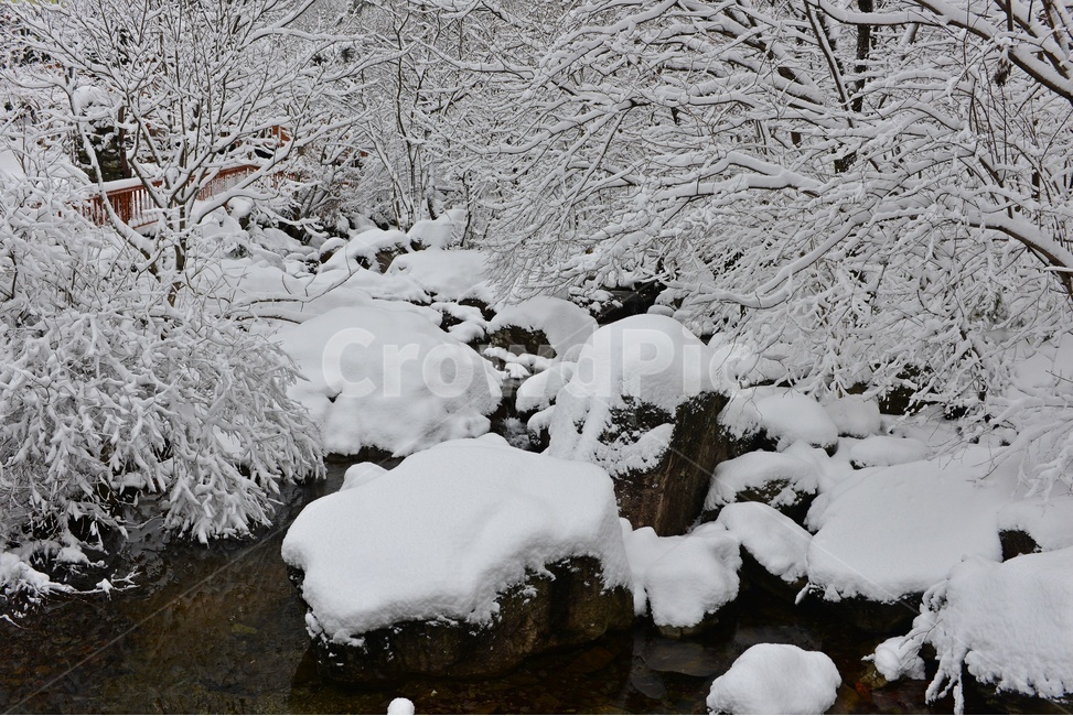 장성,입암산성,남창게곡,설경,남창계곡설경,storm,폭풍,tree,나무,plant,식물,ice,빙,snow,눈,winter,겨울,nature,자연,outdoors,옥외,blizzard,눈보라,겨울,계절,winter,season,자연,풍경,nature,landscape