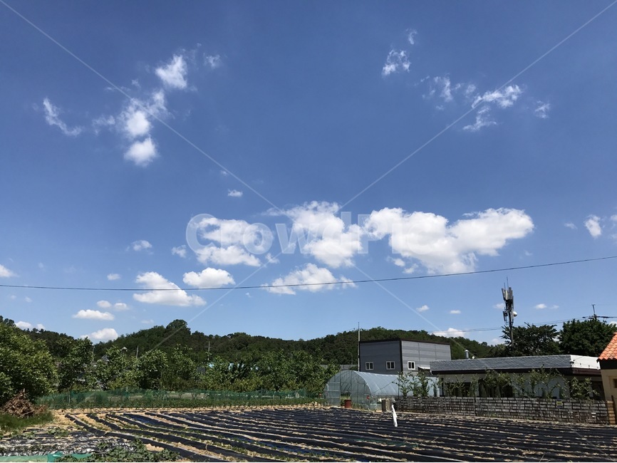 풍경,시골,자연,농촌,농사,배경,시골,마을,풍경,landscape,country,rural,town