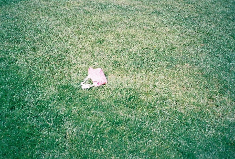 잔디,잔디밭,가방,풀,녹색,핑크,집중,point,focus,grass,bag,잃어버린,lost,남겨진,alone,one,하나,버려진