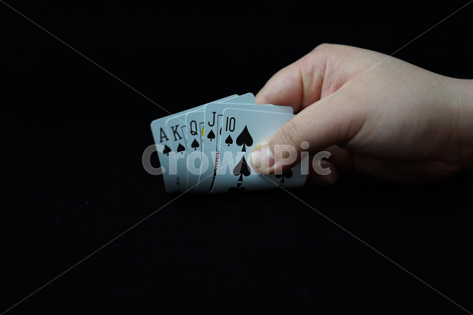 포커,원카드,카드놀이,카드게임,도박,플레잉카드,트럼프카드,playingcard,trumpcard,poker,손가락,사람,인물,인간,human,person,신체일부,몸,body,게임,오락,놀이,game,play