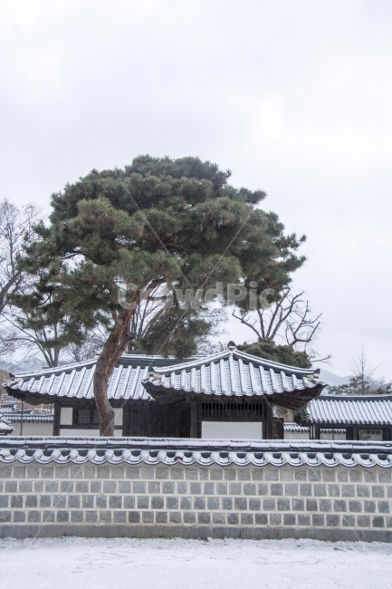 사진,단독사진,디자인,소스,포토,사진자료,배경,배경사진,백그라운드,한국,동양,아시아,접사,근접,자연,겨울,눈,얼음,경치,설경,Landscape,날씨,겨울배경,겨울풍경,풍경,눈풍경,한옥,지붕,사찰,전통가옥,기와,기와집,보케,흩날림,돌담,담,전통담,겨울,계절,winter,season,한국전통,한국문화,korean traditional,korean culture