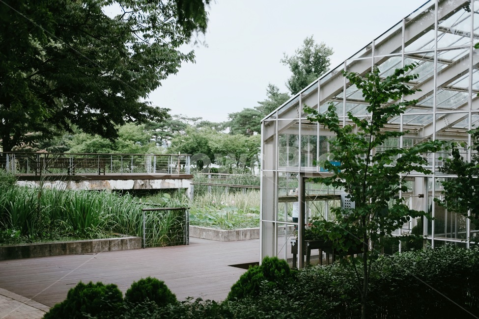 선유도,식물원,온실,화초,나무,수목원,식물,자연,plants,nature,나무,trees,wood